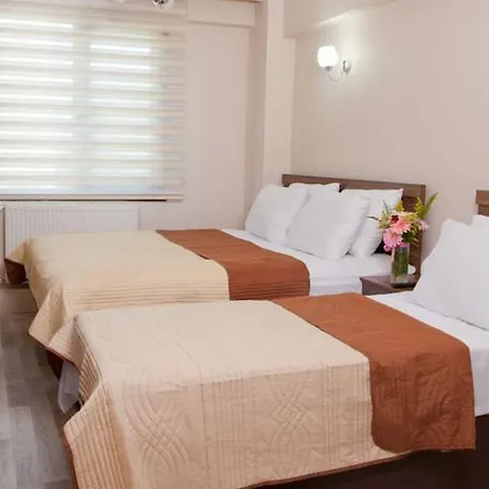 アパートホテル ビルリック 3*