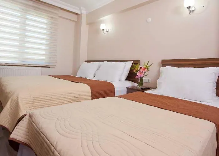 Апарт-отель Birlik Стамбул