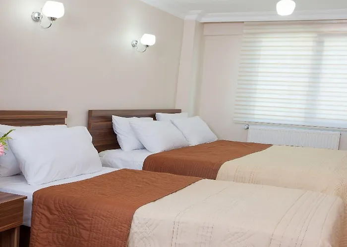 Апарт-отель Birlik Стамбул