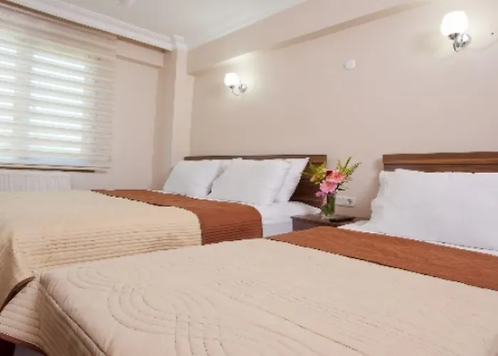 Birlik Апарт-отель Стамбул